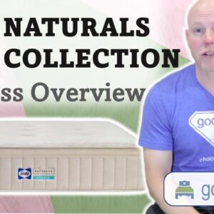 Sealy Naturals Mattress Collection (2023) EXPLAINED by GoodBed.com